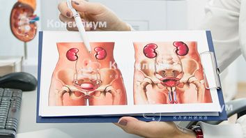 Уролог или нефролог? В чем разница? Вносим ясность Уролог или нефролог? В чем разница? Вносим ясность