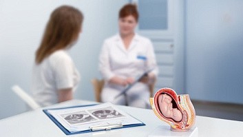 Прегравидарная подготовка: интервью с врачом о том, как правильно подготовиться к беременности Прегравидарная подготовка: интервью с врачом о том, как правильно подготовиться к беременности